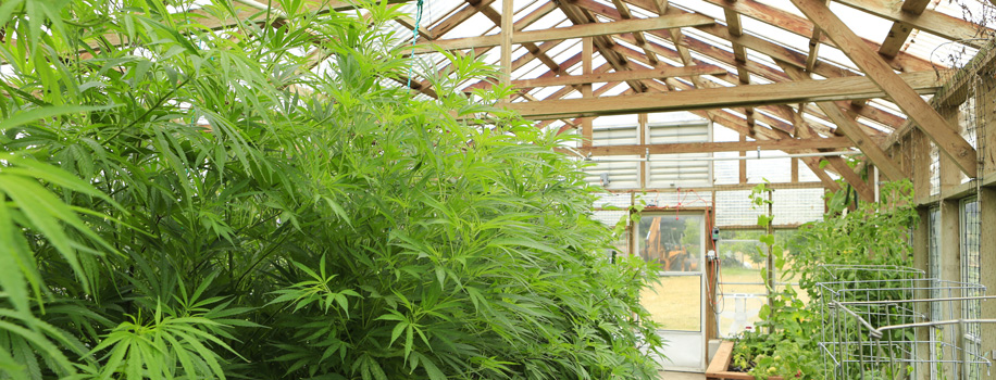 Security Solutions for Apartments in Atlanta,  GA